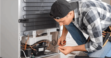 conserto de geladeira nova carapina 2 serra es