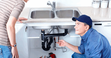 desentupidora serra es